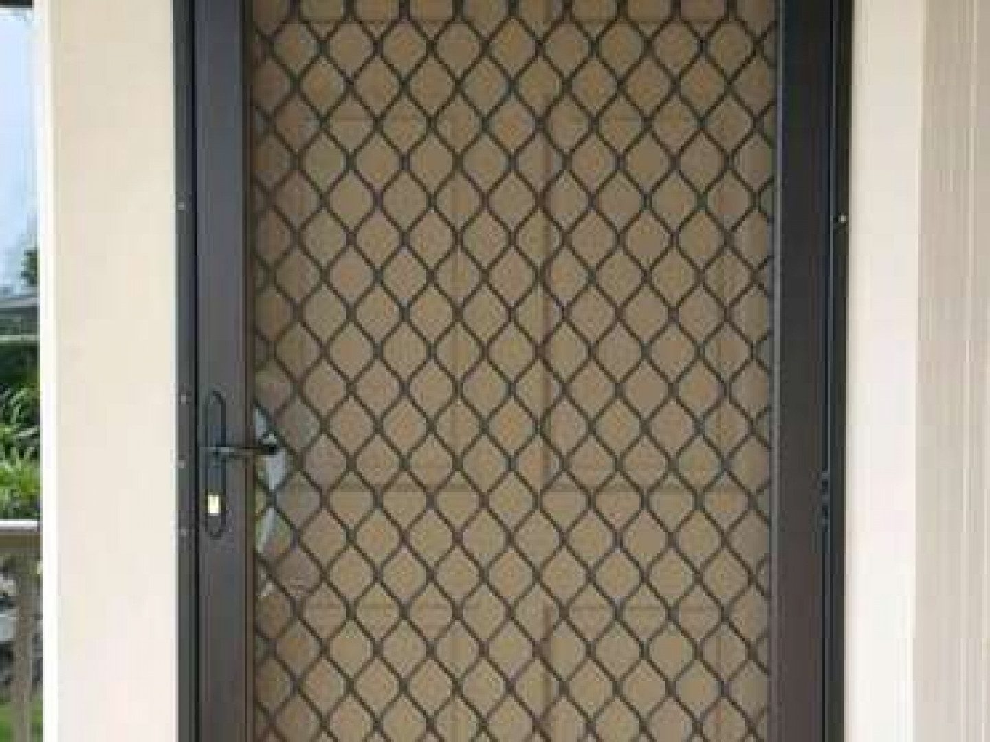 security door